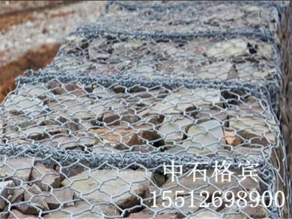 石籠網~1111 (1).jpg 石籠網~1111 (1).jpg